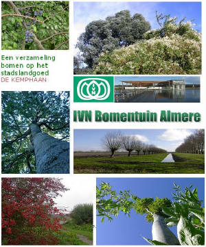 voorbladbomenboekje.jpg